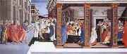 Sandro Botticelli incidents in the life of Saint Zenobius Spain oil painting artist